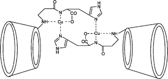 Graphical abstract: Potentiometric, spectroscopic and antioxidant activity studies of SOD mimics containing carnosine