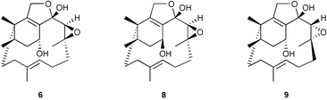 Graphical abstract: Synthetic studies towards congeners of phomactin A. Re-examination of the structure of Sch 49028