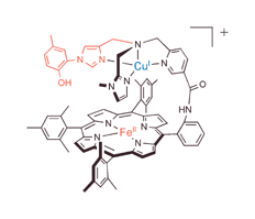 Graphical abstract: Formation and spectroscopic characterization of the dioxygen adduct of a heme–Cu complex possessing a cross-linked tyrosine–histidine mimic: modeling the active site of cytochrome c oxidase