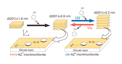 Graphical abstract: Photocontrol of the adsorption behavior of phenol for an azobenzene-montmorillonite intercalation compound