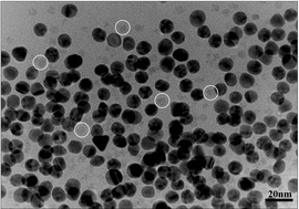 Graphical abstract: DNA-directed assembly of multifunctional nanoparticle networks using metallic and bioinorganic building blocks