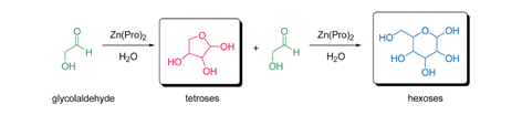 Graphical abstract: Zinc–proline catalyzed pathway for the formation of sugars