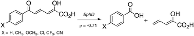 Graphical abstract: Synthetic 6-aryl-2-hydroxy-6-ketohexa-2,4-dienoic acid substrates for C–C hydrolase BphD: investigation of a general base catalytic mechanism