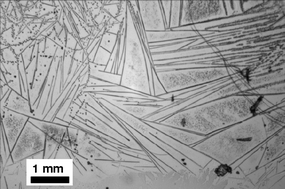 Graphical abstract: Peptide cross-linking modulated stability and assembly of peptide-wrapped single-walled carbon nanotubes