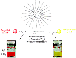 Graphical abstract: Synergistic assembly of hyperbranched polyethylenimine and fatty acids leading to unusual supramolecular nanocapsules