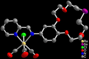 Graphical abstract: Synthesis, photophysics, electrochemistry and metal ion-binding studies of rhenium(i) complexes with crown ether pendants: selective and specific binding properties for various metal ions