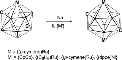 Graphical abstract: Fourteen-vertex homo- and heterobimetallic metallacarboranes