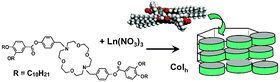 Graphical abstract: Lanthanide luminescent mesomorphic complexes with macrocycles derived from diaza-18-crown-6