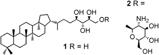 Graphical abstract: Concise syntheses of bacteriohopanetetrol and its glucosamine derivative