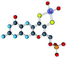 Graphical abstract: Molybdenum: biological activity and metabolism