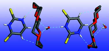 Graphical abstract: 2,4-Dithiouracil: the reproducible H-bonded structural motifs in the complexes with 18-membered crown ethers