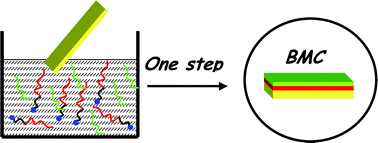 Graphical abstract: Formation of a bilayer film on gold substrates for connector applications: spectroscopic study of the deposition process