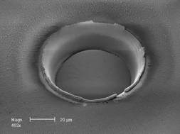 Graphical abstract: Improved in situ isotope analysis of low-Pb materials using LA-MC-ICP-MS with parallel ion counter and Faraday detection