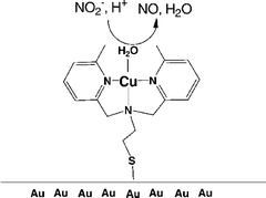 Graphical abstract: Electroreduction of nitrite on gold electrode modified with Cu-containing nitrite reductase model complex