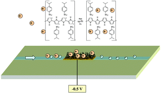 Graphical abstract: On-line electrochemically controlled solid-phase extraction interfaced to electrospray and inductively coupled plasma mass spectrometry