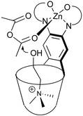 Graphical abstract: Cavitand templated catalysis of acetylcholine