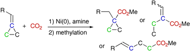 Graphical abstract: Solvent and ligand partition reaction pathways in nickel-mediated carboxylation of methylenecyclopropanes