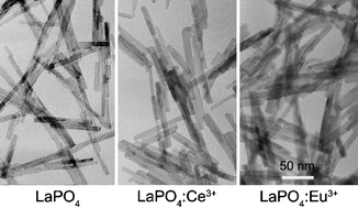 Graphical abstract: A facile route for preparing rhabdophane rare earth phosphate nanorods