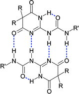 Graphical abstract: The solid-state behaviour of 4,6-dioxo-5,5-diethylenepyrimidine-2-isobutylurea