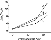 Graphical abstract: On the mechanism of nitrogen photofixation at nanostructured iron titanate films