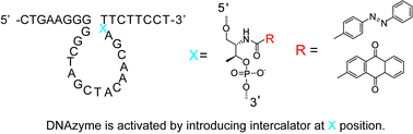 Graphical abstract: Enhancement of RNA cleavage activity of 10–23 DNAzyme by covalently introduced intercalator