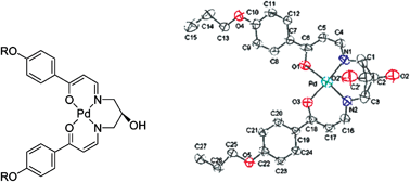 Graphical abstract: Supramolecular metallomesogens. Self-organization of an H-bonded tetrameric assembly into columnar phase from single component