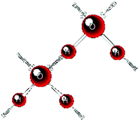 Graphical abstract: Consequences of chain networks on thermodynamic, dielectric and structural properties for liquid water