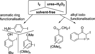 Graphical abstract: Solvent-free iodination of organic molecules using the I2/urea–H2O2 reagent system