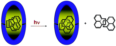 Graphical abstract: Photodimerization of acenaphthylene within a nanocapsule: excited state lifetime dependent dimer selectivity