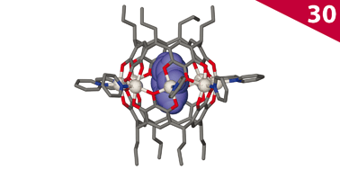 Graphical abstract: Robust and stable pyrogallol[4]arene molecular capsules facilitated via an octanuclear zinc coordination belt