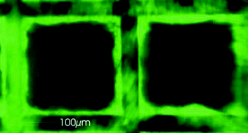 Graphical abstract: A chip-based platform for the in vitro generation of tissues in three-dimensional organization