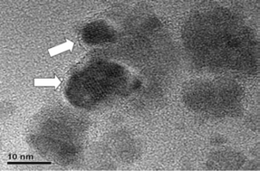 Graphical abstract: Magnetite ferrofluids stabilized by sulfonato-calixarenes