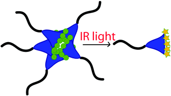 Graphical abstract: Two-photon degradable supramolecular assemblies of linear-dendritic copolymers