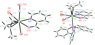 Graphical abstract: Pyridine-2-carboxaldehyde as ligand: Synthesis and derivatization of carbonyl complexes