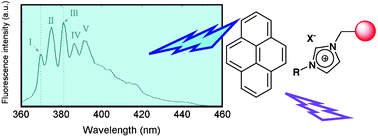 Graphical abstract: Polymer supported ionic liquid phases (SILPs) versus ionic liquids (ILs): How much do they look alike