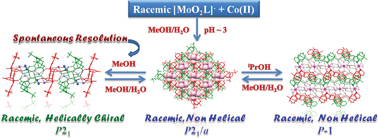 Graphical abstract: Solvent dependent assembly and disassembly of a hydrogen bonded helical structure in a Co–Mo bimetallic complex