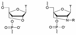 Graphical abstract: LNA (locked nucleic acid) and analogs as triplex-forming oligonucleotides