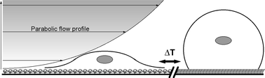 Graphical abstract: Control of cell detachment in a microfluidic device using a thermo-responsive copolymer on a gold substrate