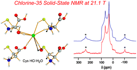 Graphical abstract: A high-field solid-state 35/37Cl NMR and quantum chemical investigation of the chlorine quadrupolar and chemical shift tensors in amino acid hydrochlorides