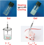 Graphical abstract: Injectable hydrogels as unique biomedical materials