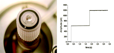 Graphical abstract: Rapid screening of membrane protein activity: electrophysiological analysis of OmpF reconstituted in proteoliposomes