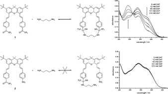 Graphical abstract: Chemosensor for the optical detection of aliphatic amines and diamines