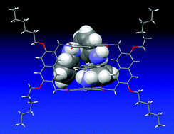 Graphical abstract: Molecular tubes and capsules Part III. The first X-ray crystallographic evidence of a cyclic aniline trimer via self-complementary N–H⋯π interactions: the aniline inclusion both inside and outside the macrocyclic cavity