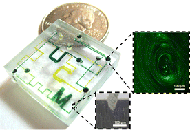 Graphical abstract: Shrinky-Dink microfluidics: 3D polystyrene chips