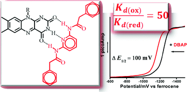 Graphical abstract: Hydrogen bond-free flavin redox properties: managing flavins in extreme aprotic solvents