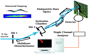 Graphical abstract: Mapping technique for biodistribution of elements in a model organism, Caenorhabditis elegans, after exposure to copper nanoparticles with microbeam synchrotron radiation X-ray fluorescence