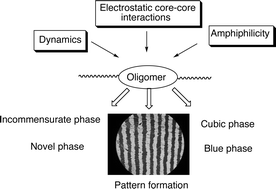 Graphical abstract: Unconventional liquid crystal oligomers with a hierarchical structure