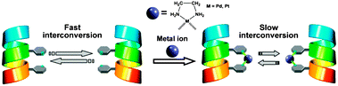 Graphical abstract: Decelerated chirality interconversion of an optically inactive 310-helical peptide by metal chelation