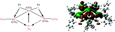 Graphical abstract: Ruthenium and osmium carbonyl clusters incorporating stannylene and stannyl ligands