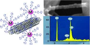 Graphical abstract: Photopolymerization of metal nanoparticles on multiwall carbon nanotubes